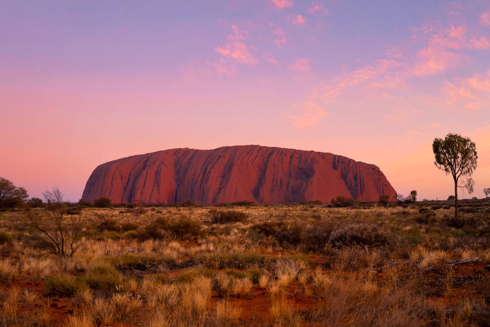 Alice Springs & Red Centre holiday parks in Northern Territory