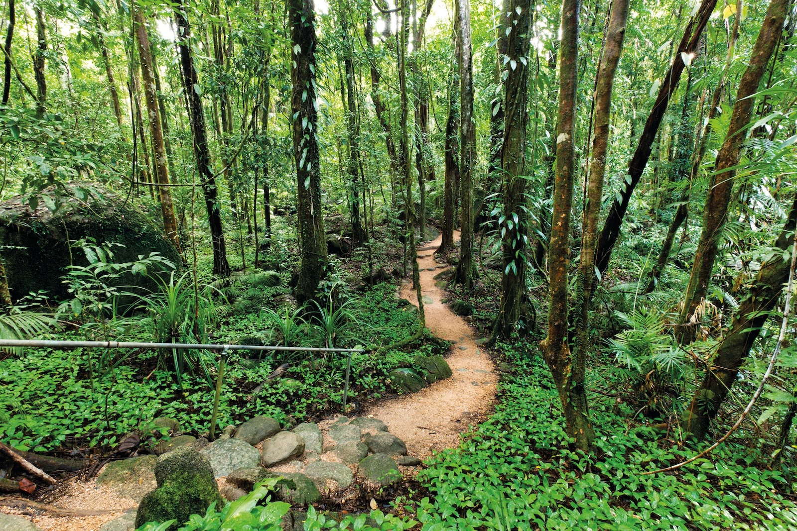 Tropical North Queensland holiday parks in Queensland